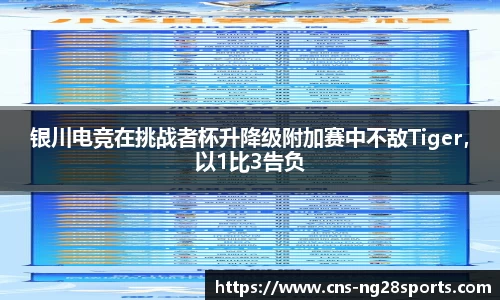 银川电竞在挑战者杯升降级附加赛中不敌Tiger，以1比3告负